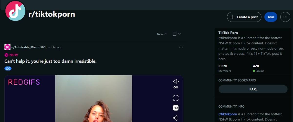 Reddit TikTok Porn, TikTok Porn Sites