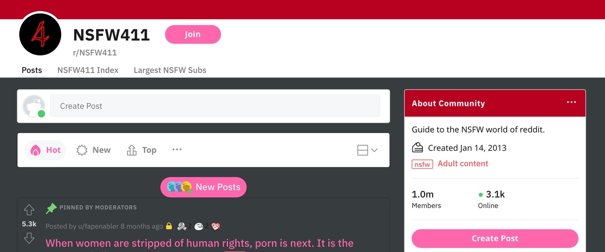 NSFW411, Porn Search Engines