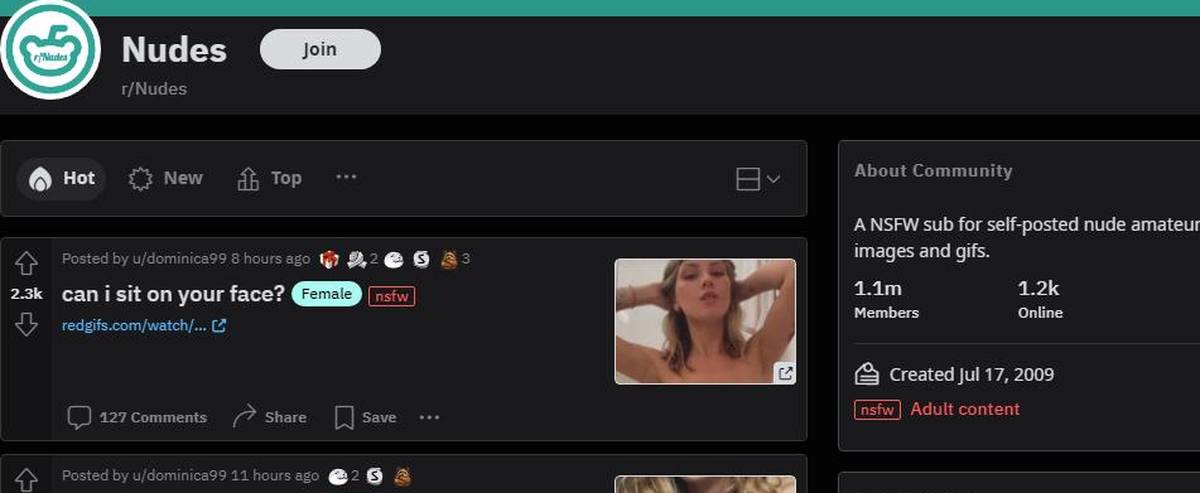 Reddit Nudes, Amateur Porn Sites