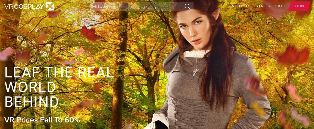 VRCosplayX, VR Porn Sites