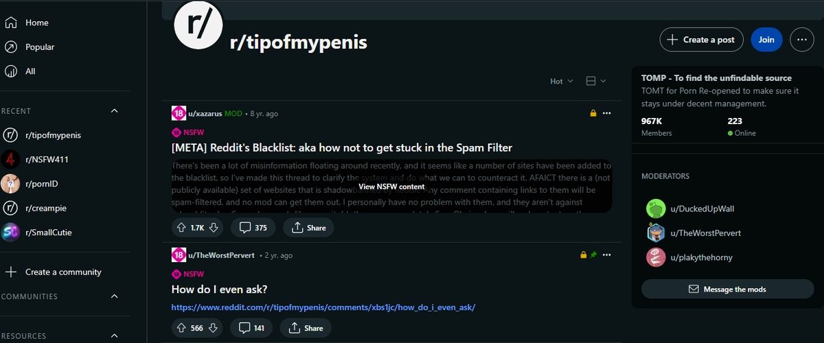 Reddit Tip of My Penis, Porn Search Engines