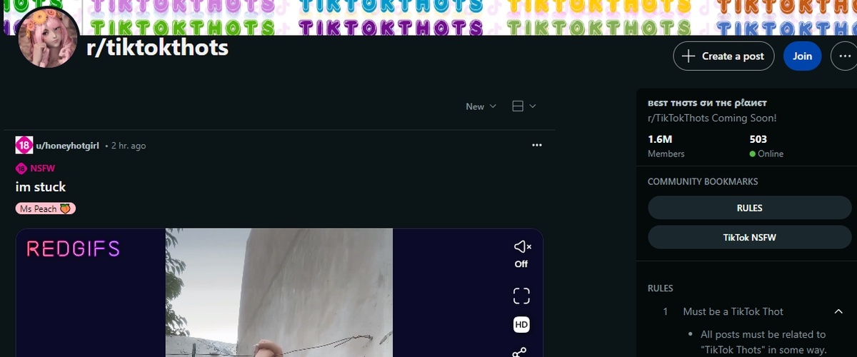 Reddit TikTokThots, TikTok Porn Sites