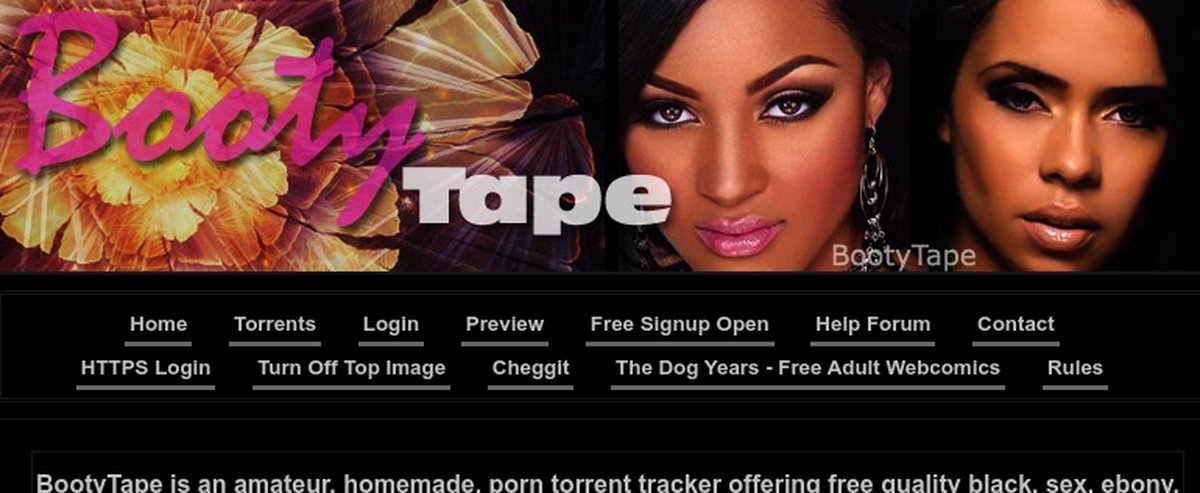BootyTape, Porn Torrent Sites
