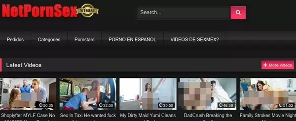 NetPornSex, Hall Of Fame