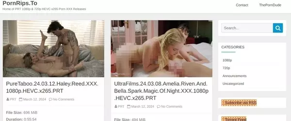 PornRips.to
