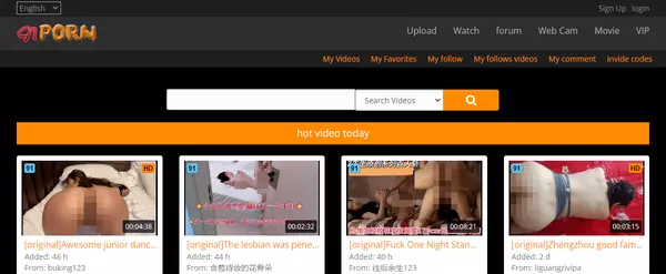 91Porn, Asian Porn Sites