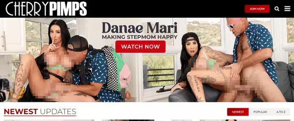 CherryPimps, Top Premium Porn Sites
