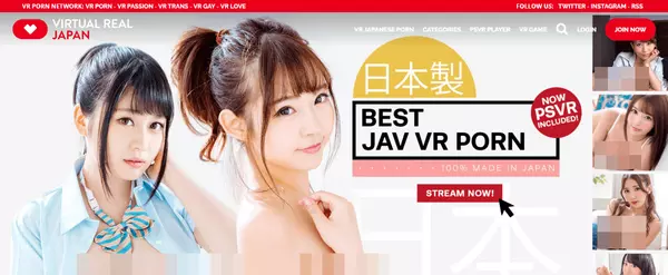 VirtualRealJapan, VR Porn Sites
