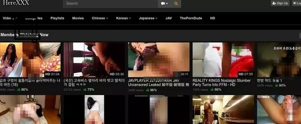 HereXXX, Asian Porn Sites