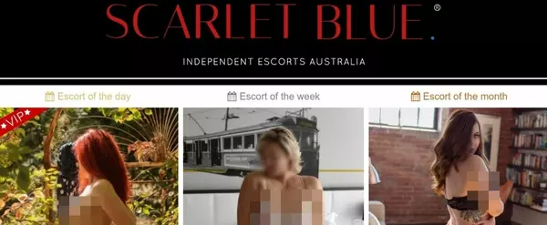 Scarlet Blue, Escort Sites