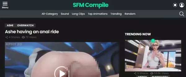 SFMCompile